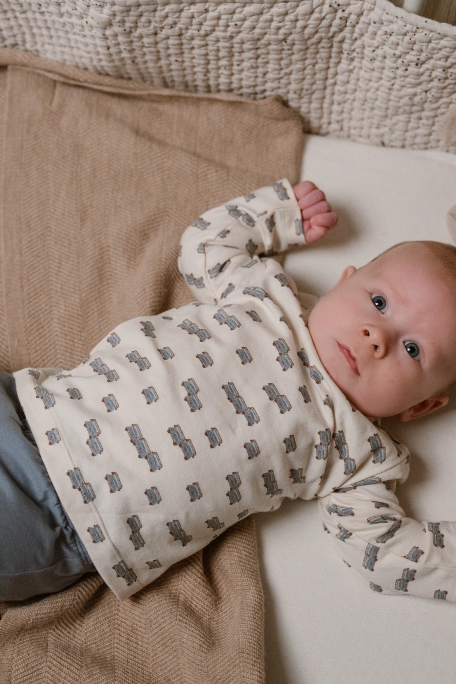 Ensemble t-shirt et pantalon bébé Milo en coton bio