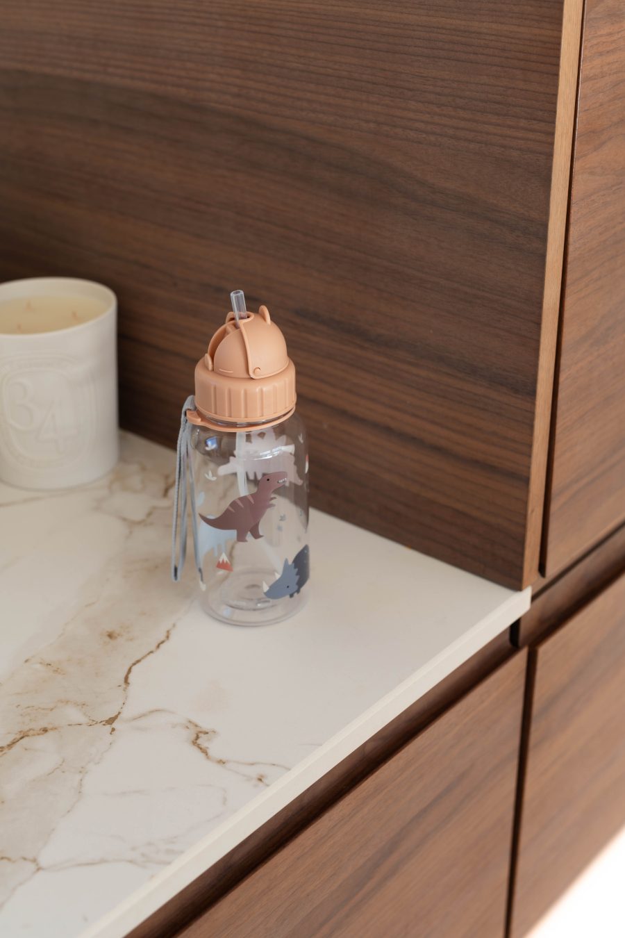 Gourde bébé Dinosaures