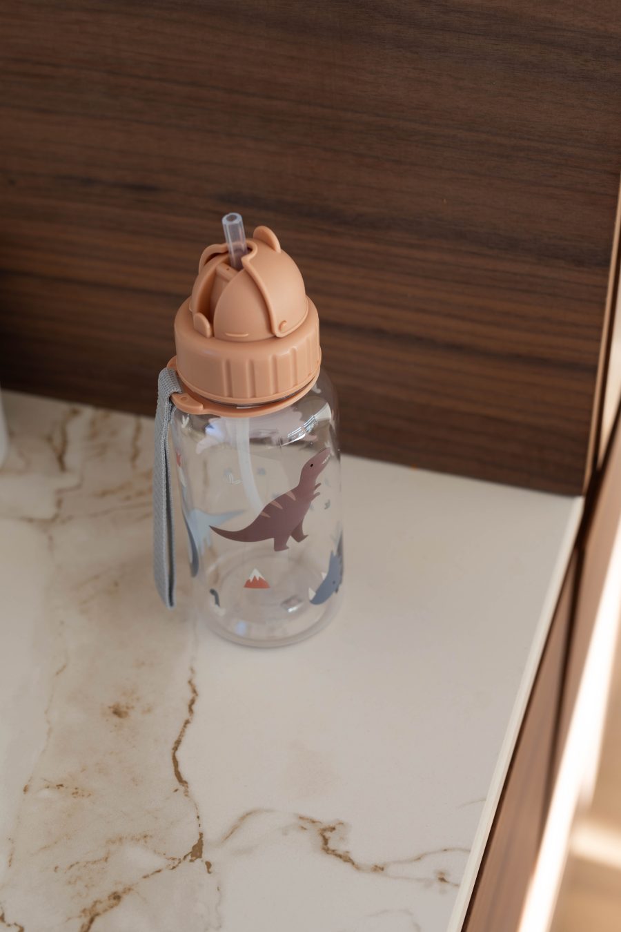 Gourde bébé Dinosaures