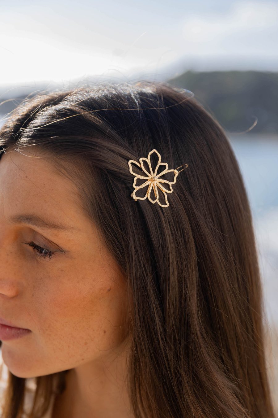 Barrette Aster