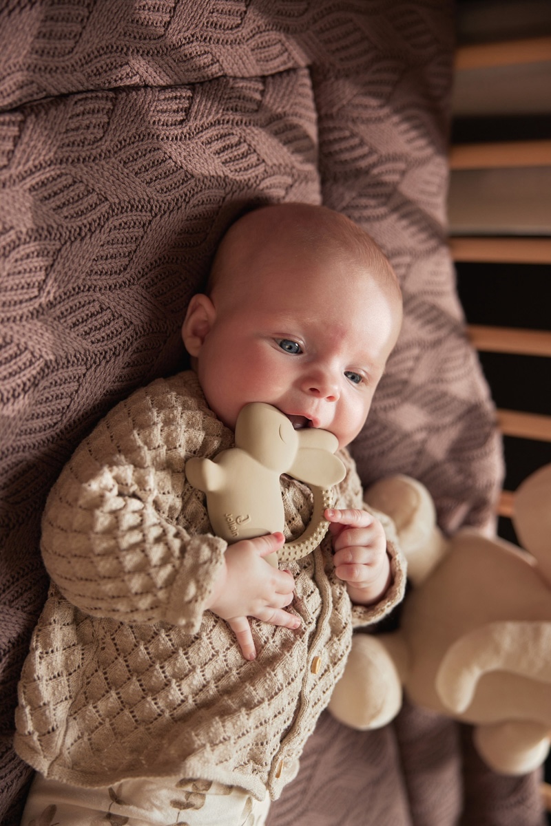 Anneau de dentition lapin