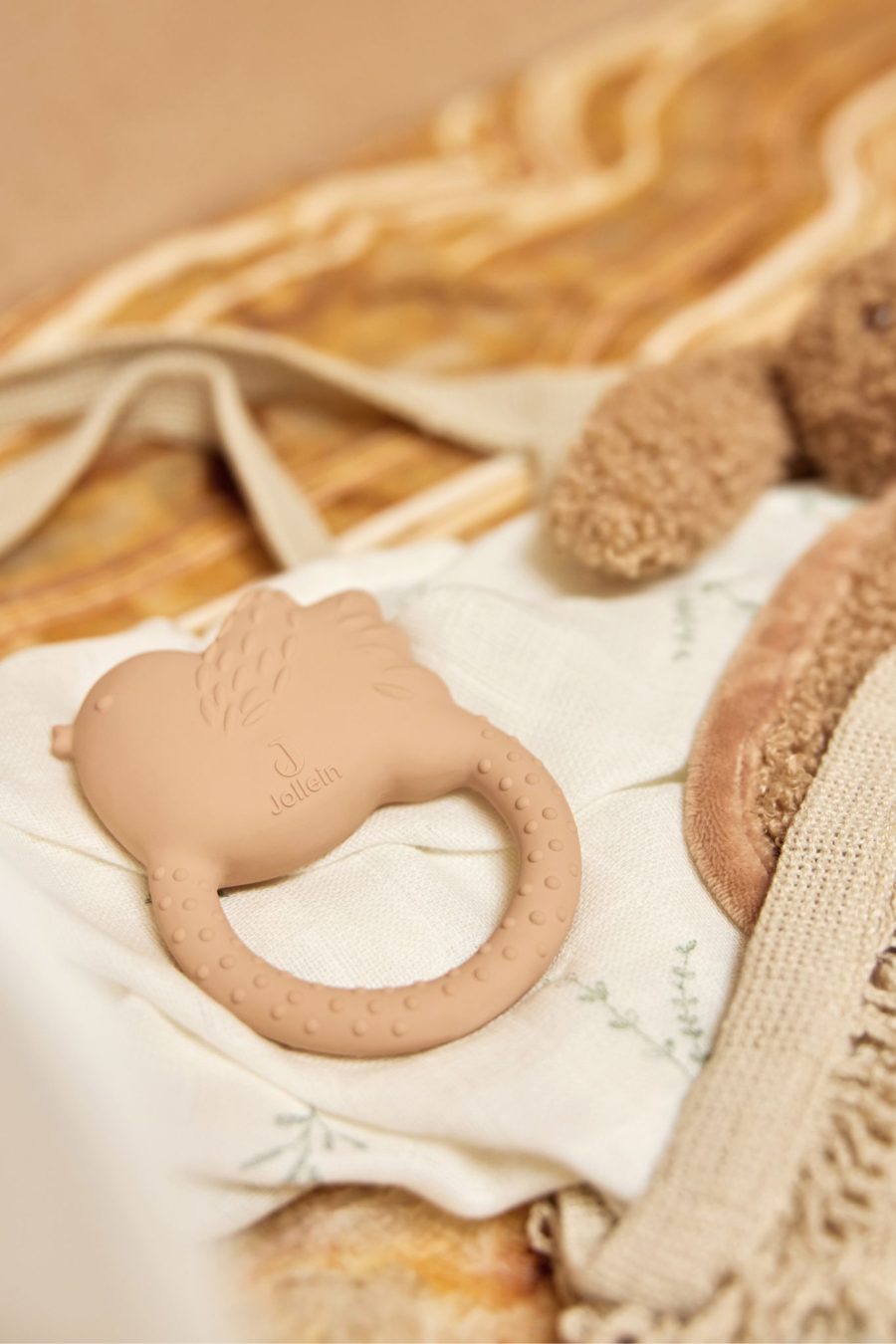 Anneau de dentition oiseau