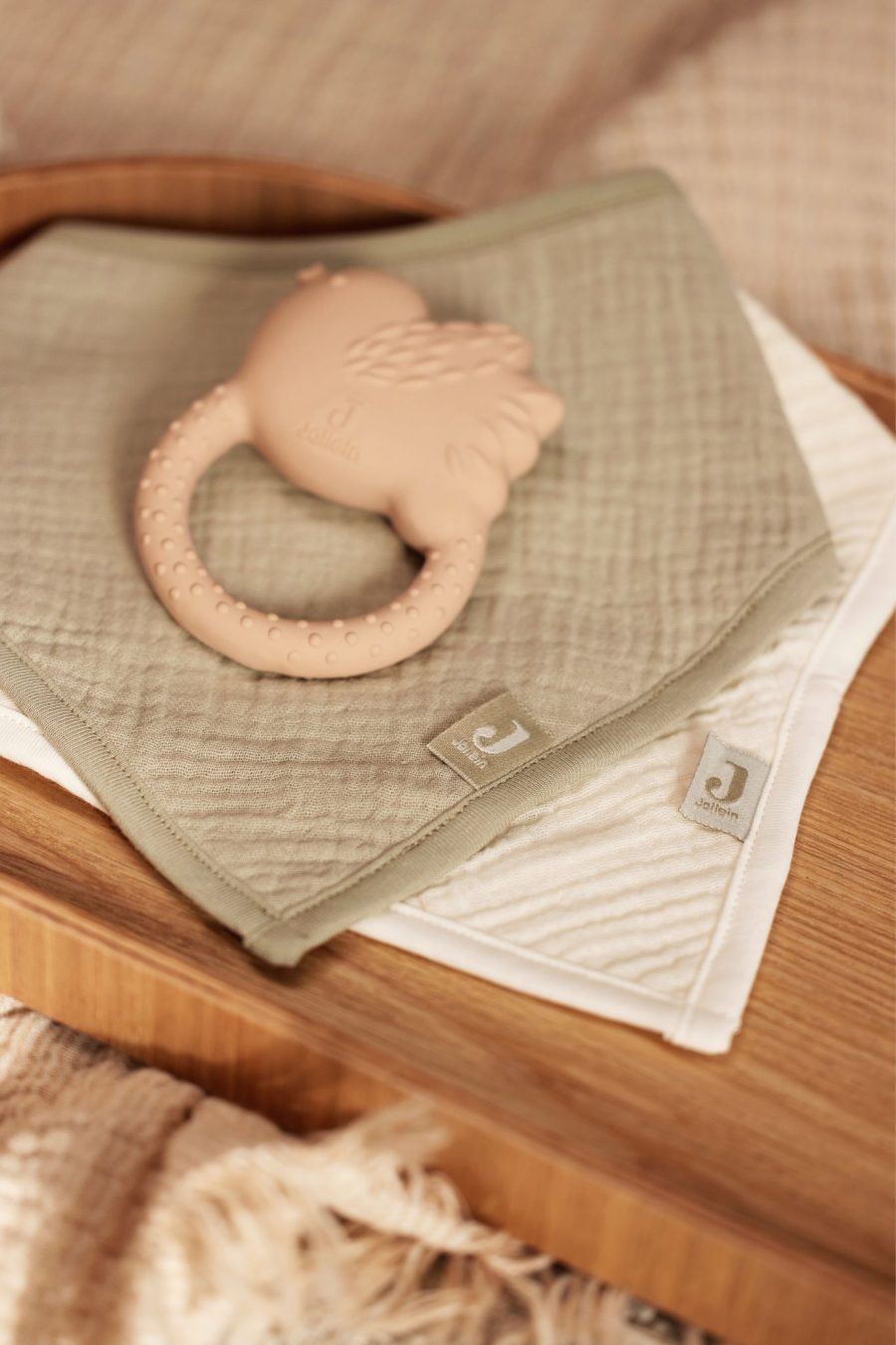 Anneau de dentition oiseau